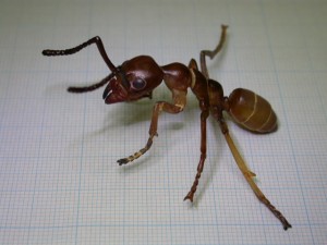 20150401094225