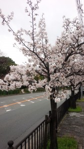 20150403090107