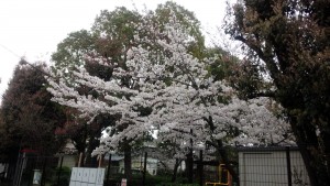 20150403090107-2