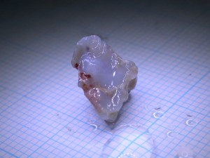 20150409104338