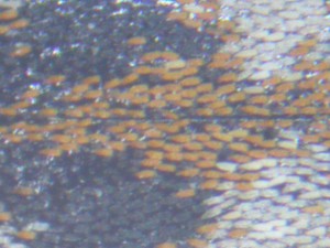 20150411154553-2