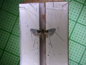 20150418111608-2