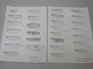 20150418135805