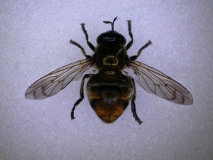 20150425111335