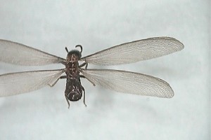 20150507084112