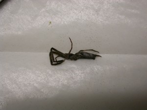 20150515125957-3