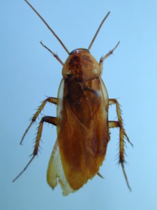 20150516183428