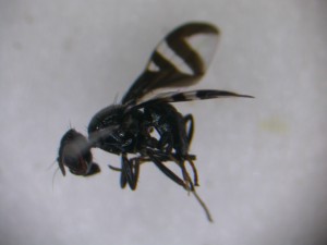 20150520092736
