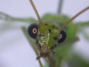20150521094608-2