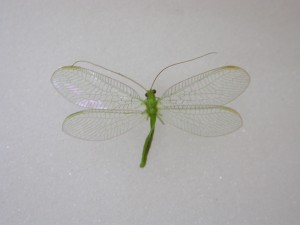 20150521094608