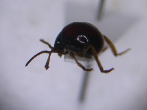 20150603164253-2