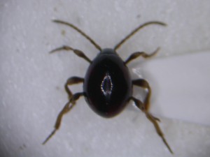 20150603164253