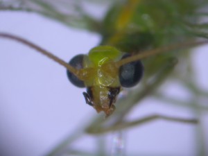 20150627174955-2