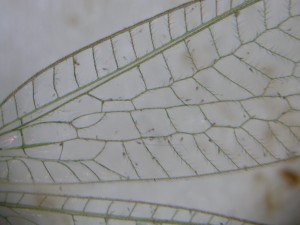20150627174955