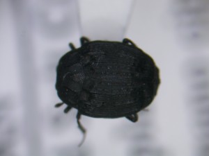 20150627180010-2
