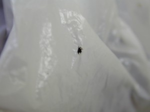 20150724112546-3