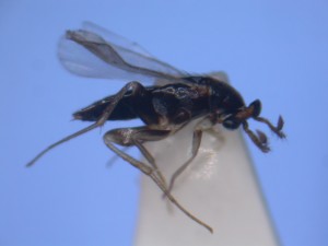 20151023094342-2