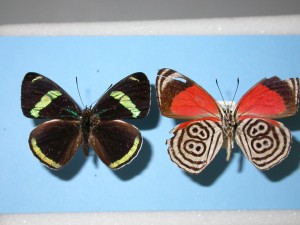 20151029085929