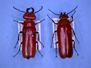 20151030113406