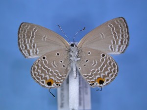 20151031094759-2