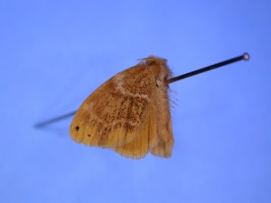 20151031094759