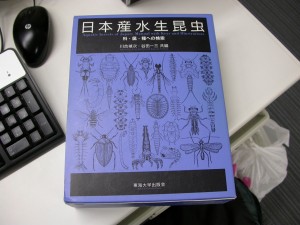 水生昆虫検索図説