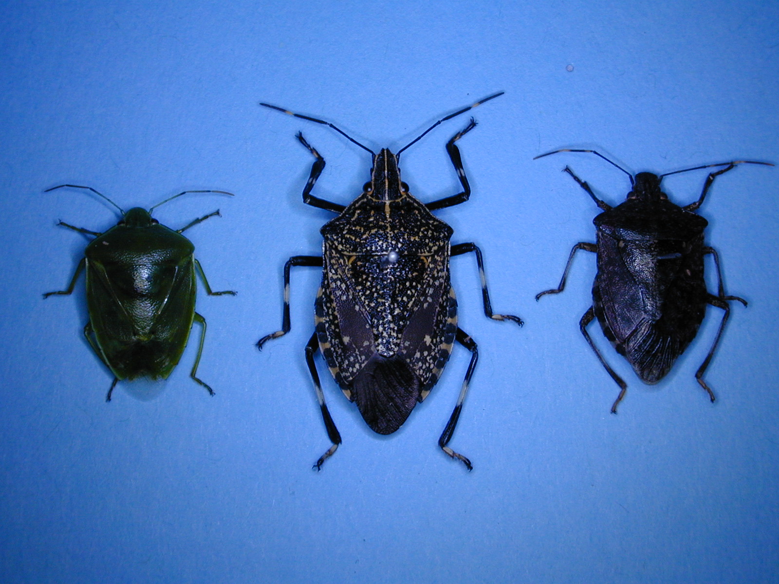 news | by HybridMedia | ページ 6