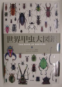 世界昆虫大図鑑